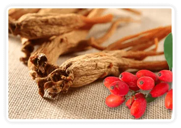Berberine Korean Red Ginseng